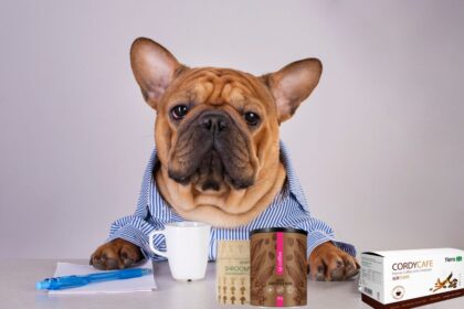 Kafa sa pečurkama