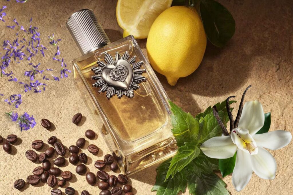 Vanila parfem Dolce&Gabbana Devotion Pour Homme Parfum