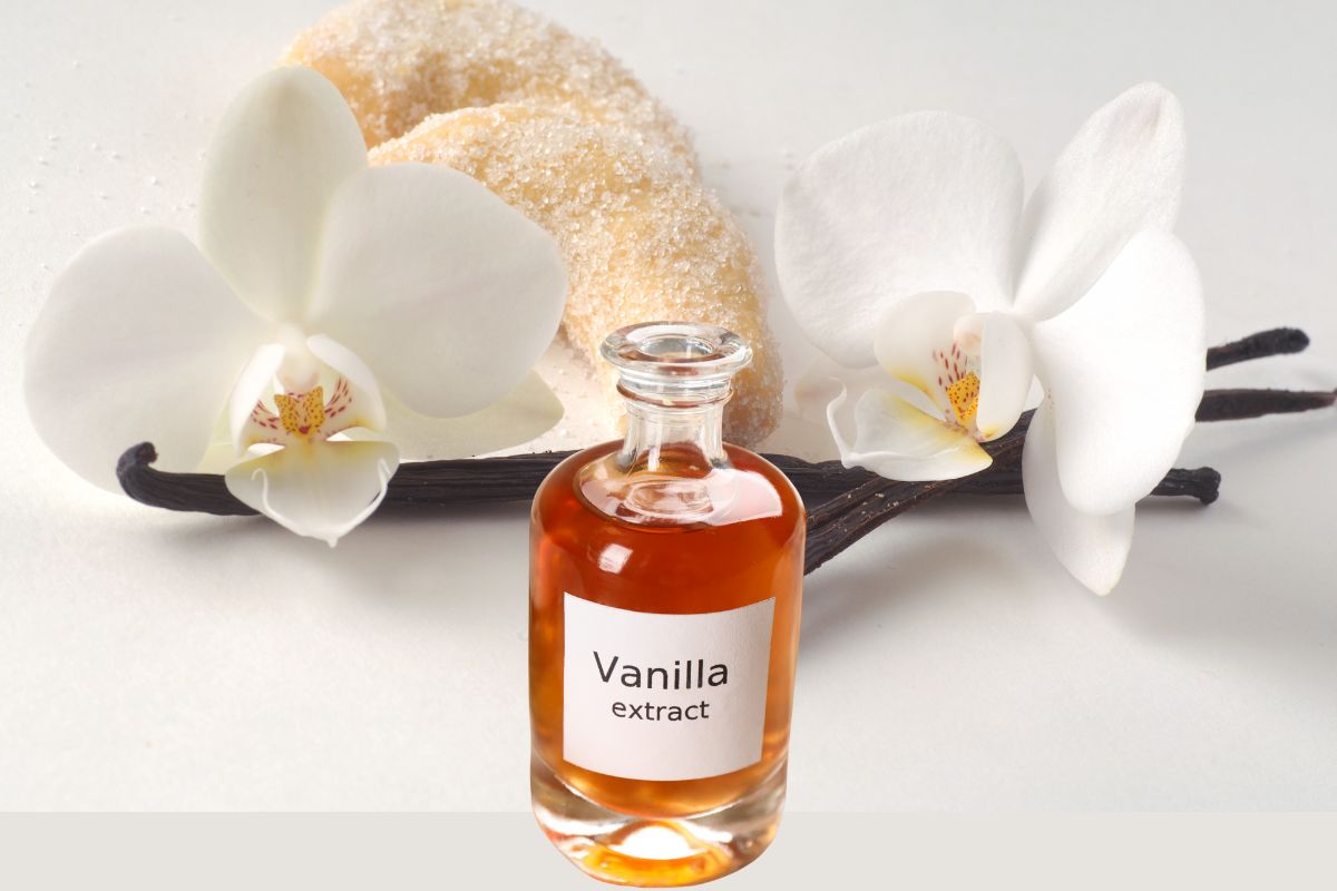 Vanila